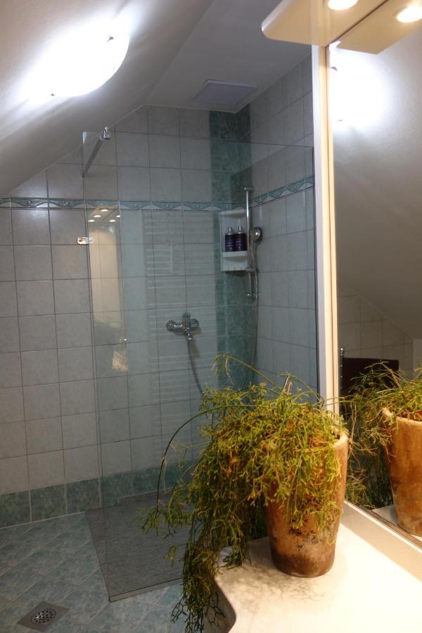 Apartment Beks ポストイナ エクステリア 写真