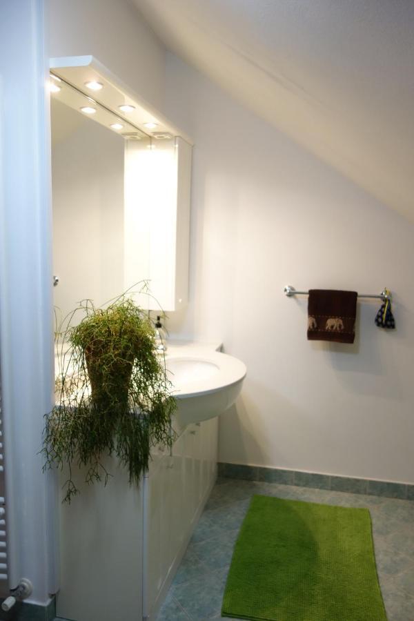 Apartment Beks ポストイナ エクステリア 写真